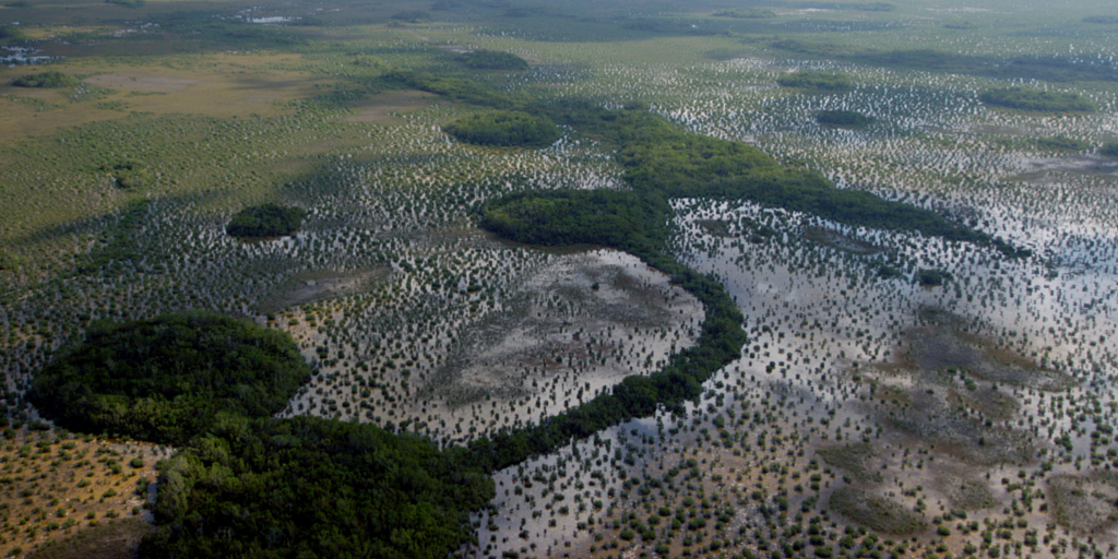 Everglades National Park